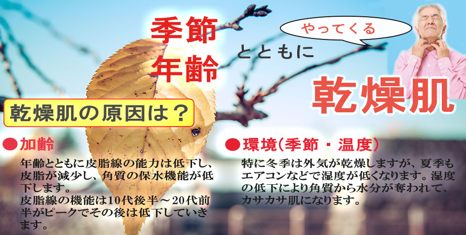 季節と年齢からくる乾燥