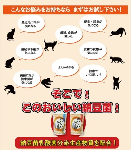 おいしい納豆菌 猫用 かつお味 送料無料 糞尿臭 軽減 サプリメント