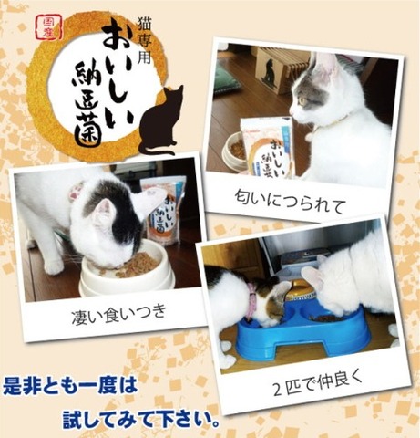 おいしい納豆菌 猫用 かつお味 送料無料 糞尿臭 軽減 サプリメント