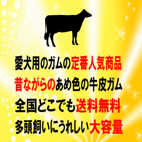 骨型 ガム 42本 お徳用 犬用 おやつ