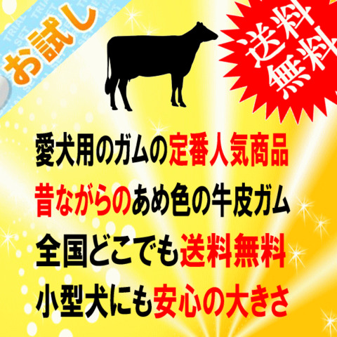 骨型 ガム 14本 送料無料 お試し 犬用 おやつ