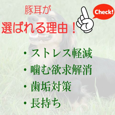国産 豚耳 スライス 細切り カット 400ｇ 犬用 おやつ