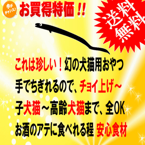 あなご スティック お徳用 送料無料 犬用 猫用 おやつ