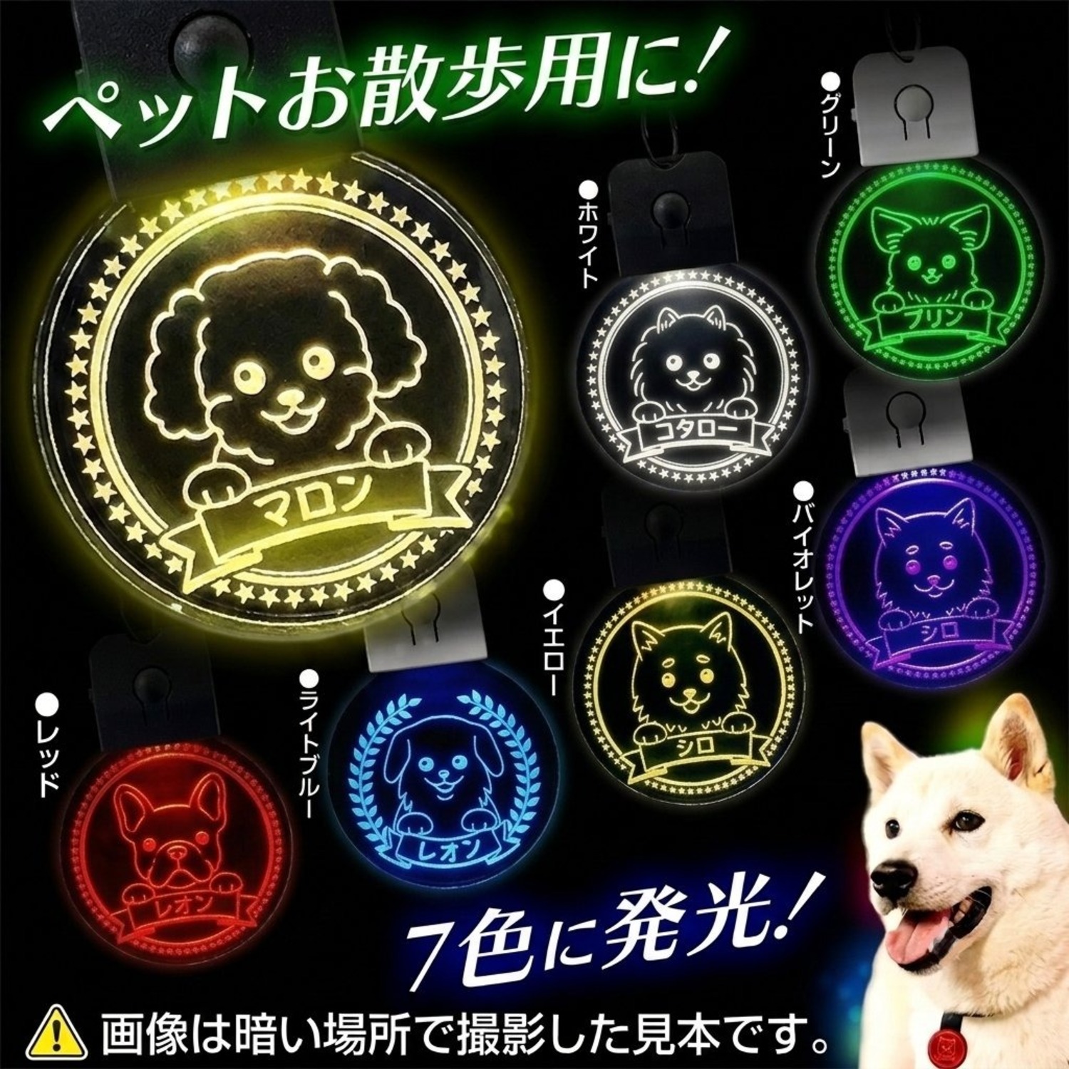 ※販売準備編集中　ペットタグ　迷子札　LEDチャーム　まる型