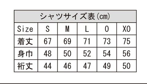 Desporteプラクティスシャツ