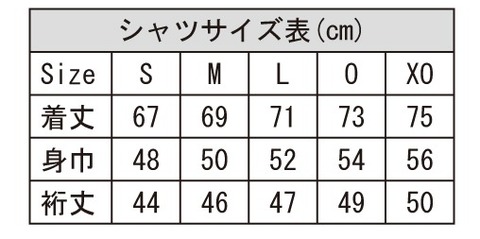 Desporte昇華プラクティスシャツ