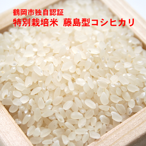 特別栽培米藤島型コシヒカリ