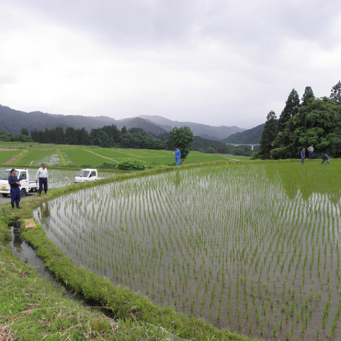 朝日地域