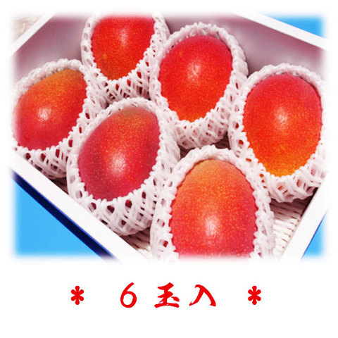 【贈答品】アップルマンゴー２k詰