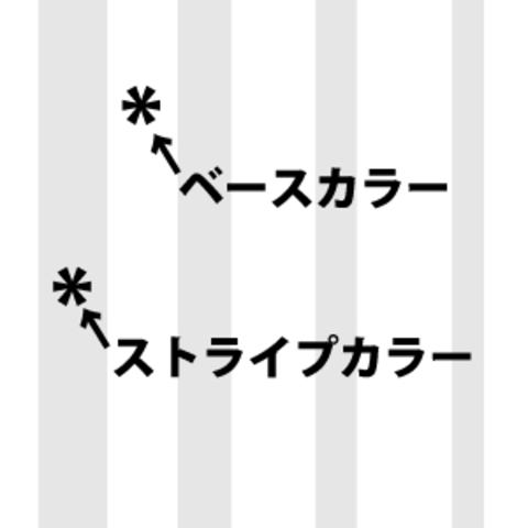 ボディの白部分がベース。グレー部分がストライプ