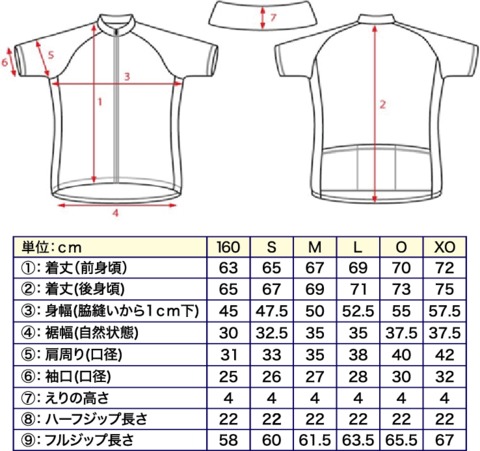 サイズ表