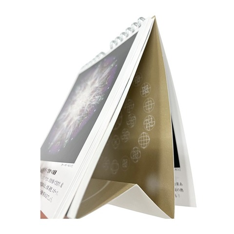 BOOK　日めくりクスリ絵（永岡書店/丸山修寛）