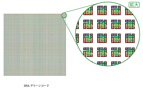 DNAグリーンコード ・大サイズ  