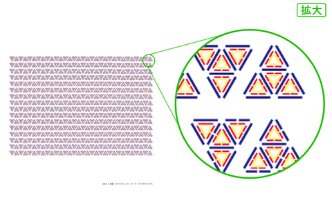 DNA三重鎖（トリプレット）コード-トライアングル ・大サイズ  