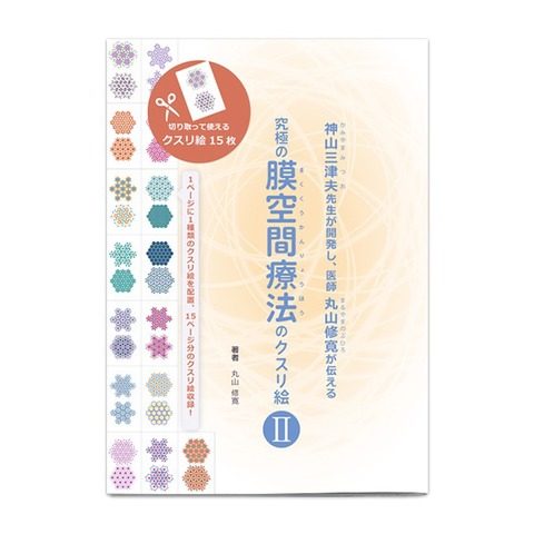 BOOK　究極の膜空間療法2 /丸山修寛