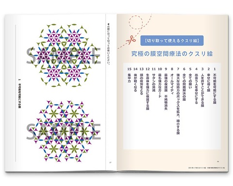 BOOK　究極の膜空間療法2 /丸山修寛