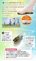 【元気サポートキャンペーン】ガイアスインソール/S・Mサイズ