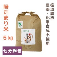 【陽だまり】陽だまり米 5kg※七分搗き