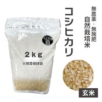 【りんや自然農園】コシヒカリ＊玄米＊２Kg