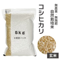 【りんや自然農園】コシヒカリ＊玄米＊５Kg