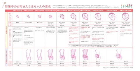 ふたごの子育て〜多胎の赤ちゃんとその家族のために〜