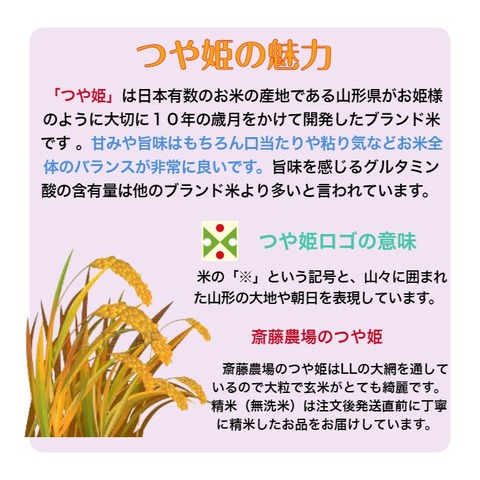 令和5年度産 山形特裁 【つや姫】30ｋｇ ＜ 庄内の水田を守る会 有限