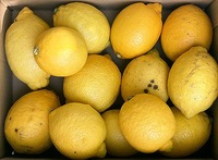 西浦産レモン　2kg