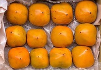 静岡産　四つ溝柿