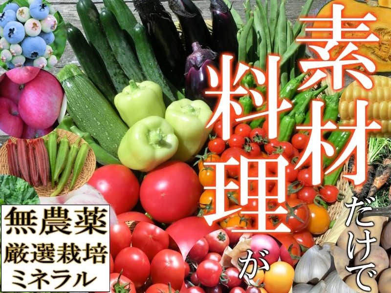 無農薬　自然農法　夏野菜セット