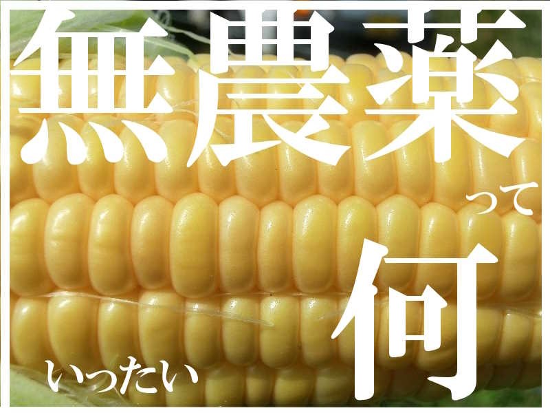 【無農薬野菜】は本当に体に良いのか