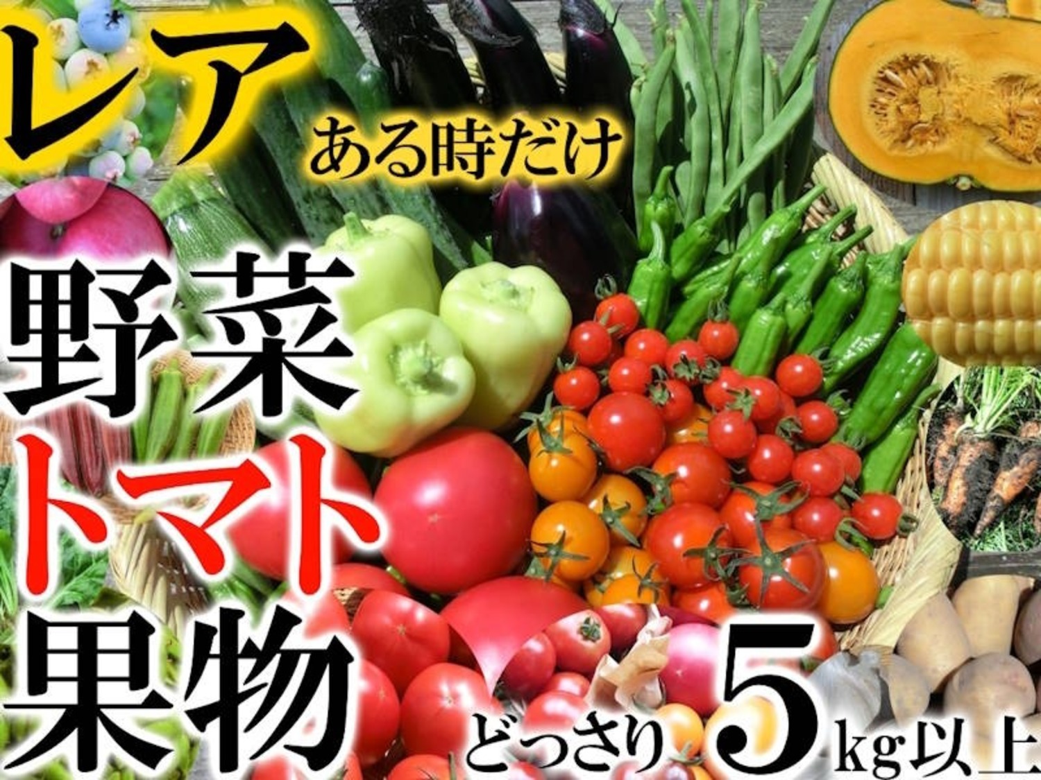 自然栽培　夏野菜セットL