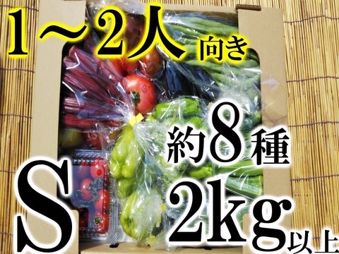 自然農法、無農薬｜夏野菜セットＳ