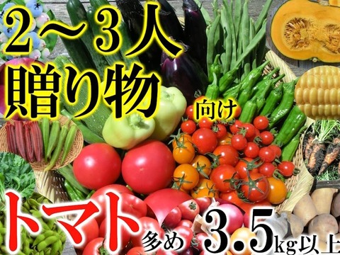 自然農法野菜セット