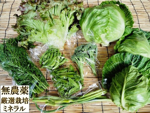 自然農法野菜セット