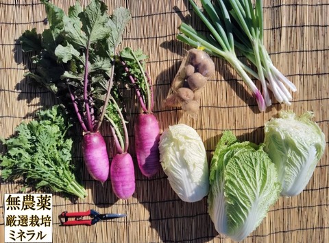自然農法野菜セット