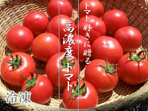 自然農法トマト 宅配