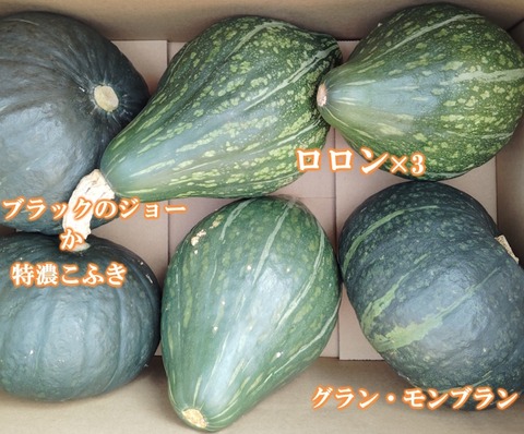 無農薬　かぼちゃ