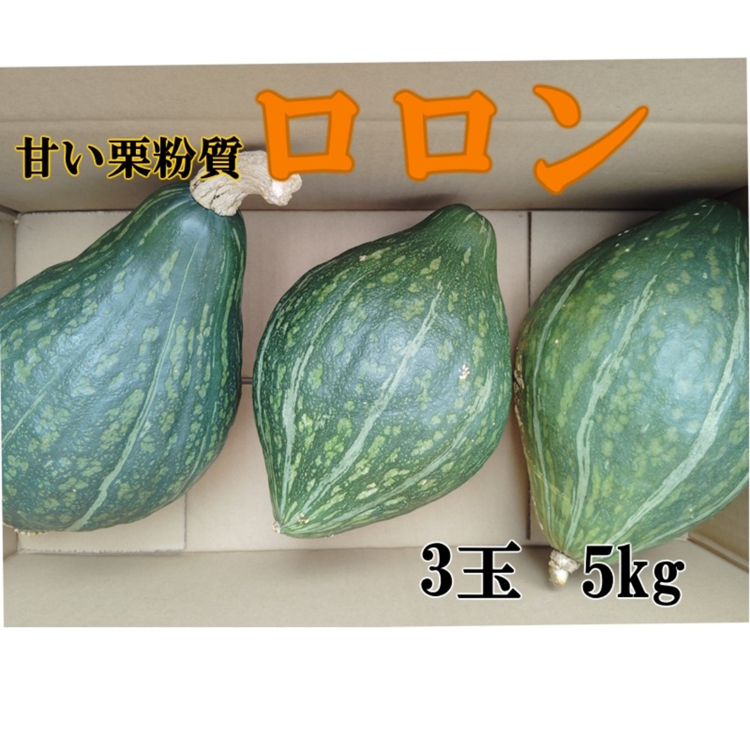 自然農法、無農薬かぼちゃ