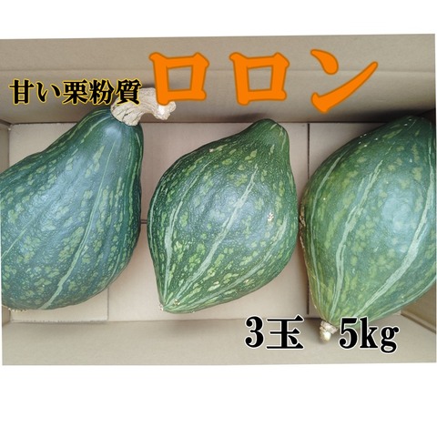 自然農法、無農薬かぼちゃ