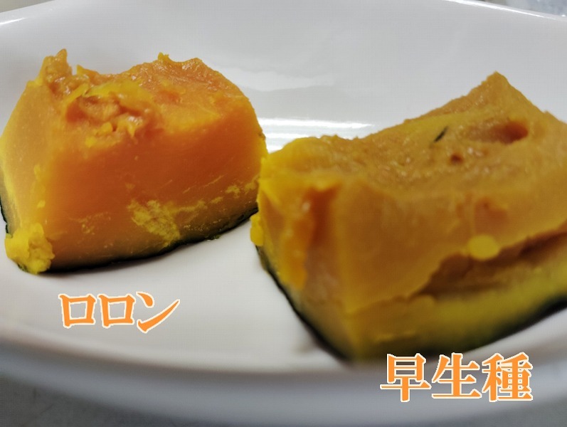 栗かぼちゃ