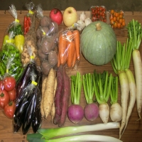 野菜不足の影響、野菜が不足することで身体に与える影響