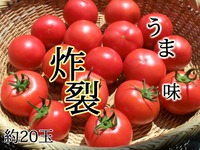 自然農法プラチナトマト