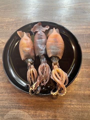 いか煮干