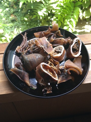いか煮干