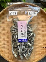 新物氷見産かたくち煮干