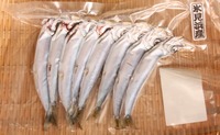 氷見産 うるめ丸干(袋)