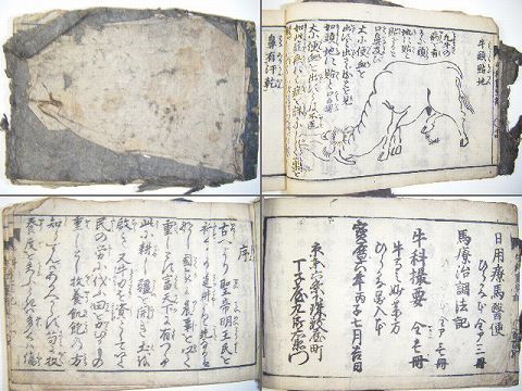 江戸 和本 獣医 牧畜 絵入り多数『牛 科 重宝 記』木版画 