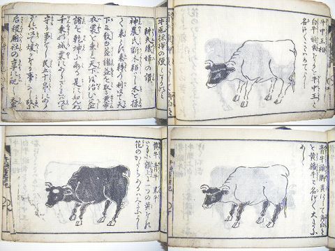 江戸 和本 獣医 牧畜 絵入り多数『牛 科 重宝 記』木版画 