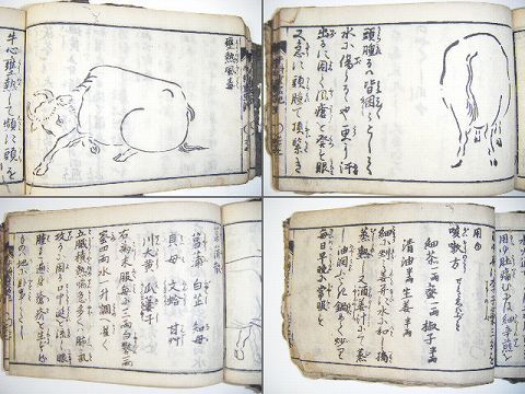 江戸 和本 獣医 牧畜 絵入り多数『牛 科 重宝 記』木版画 