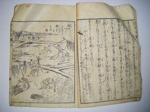 江戸 和本 教育 農業 大倉 永常『豊稼録 全』絵入 